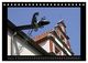 Thumbnail-4