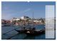 Thumbnail-11