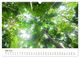 Thumbnail-11