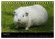 Thumbnail-10