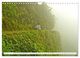 Thumbnail-12