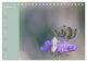 Thumbnail-14