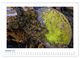 Thumbnail-12