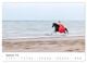 Thumbnail-14