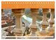 Thumbnail-12