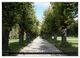 Thumbnail-8