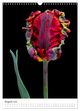 Thumbnail-10