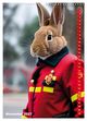 Thumbnail-13