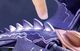 Thumbnail-9