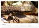 Thumbnail-10