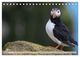 Thumbnail-12