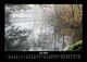 Thumbnail-10