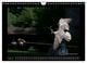 Thumbnail-10