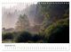Thumbnail-11