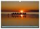 Thumbnail-12