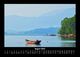 Thumbnail-12