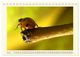 Thumbnail-12