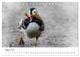 Thumbnail-13