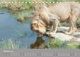 Thumbnail-10