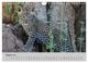 Thumbnail-13