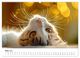 Thumbnail-8