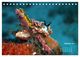 Thumbnail-11