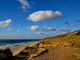 Thumbnail-2