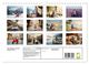 Thumbnail-14