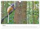 Thumbnail-12