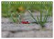 Thumbnail-11