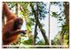 Thumbnail-12