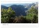 Thumbnail-11