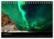 Thumbnail-13