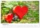 Thumbnail-14