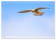 Thumbnail-8