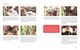 Thumbnail-9