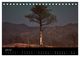 Thumbnail-11