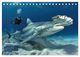 Thumbnail-14