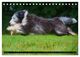 Thumbnail-8