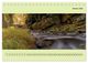 Thumbnail-12