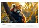 Thumbnail-12