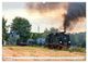 Thumbnail-10