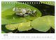 Thumbnail-12