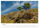 Thumbnail-10