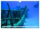 Thumbnail-13