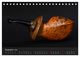 Thumbnail-14