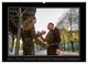 Thumbnail-12