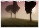 Thumbnail-9