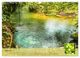 Thumbnail-10