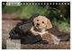 Thumbnail-9